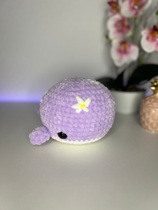 Wal mit Gänseblümchen Kuscheltier 🐳